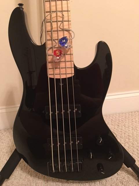 Bass 3.JPG