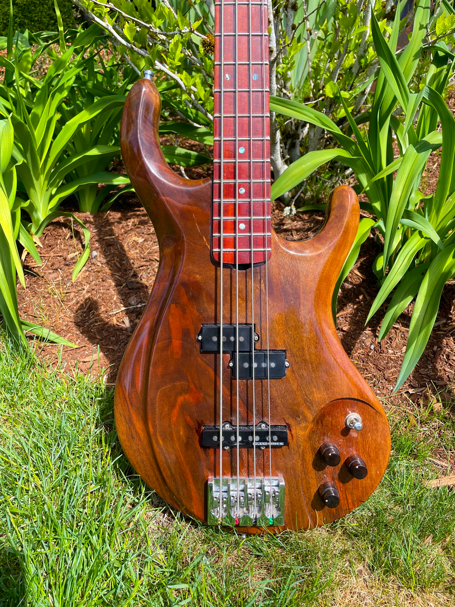 Bass 4.png
