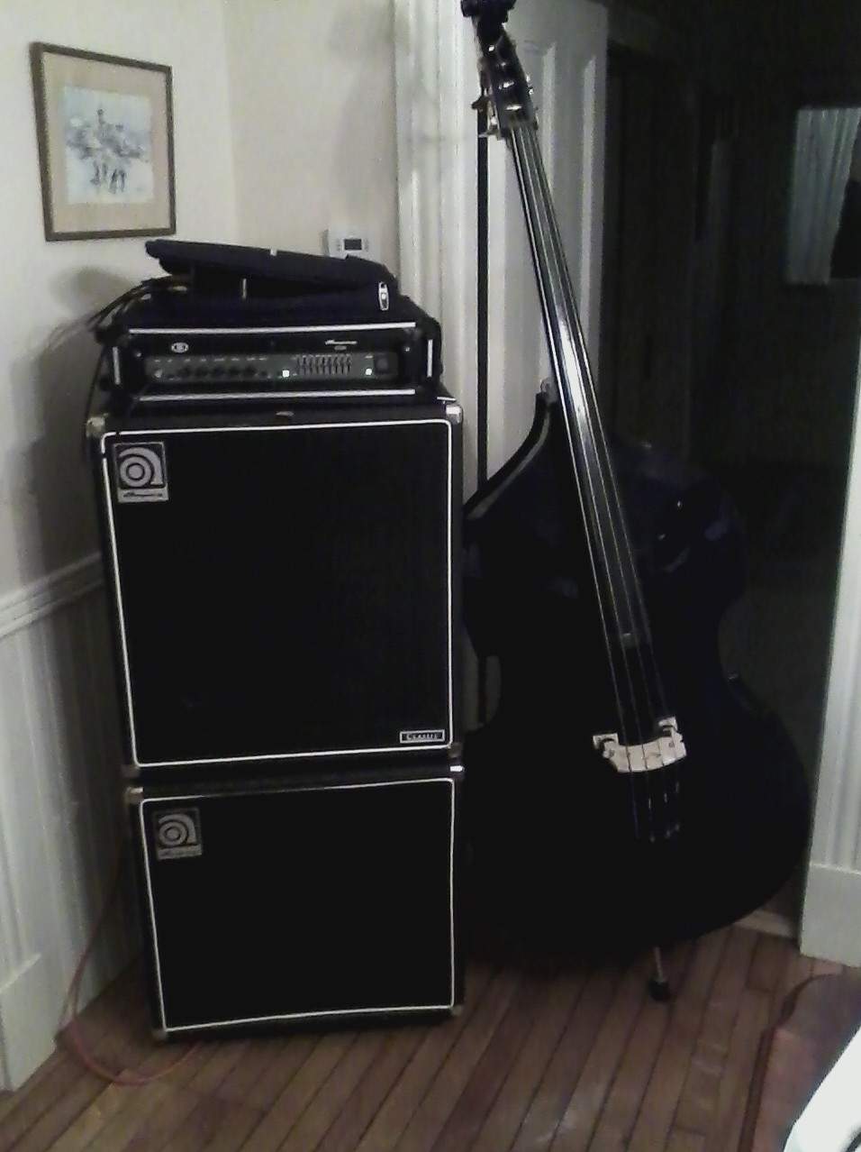 bass and ampeg.jpg