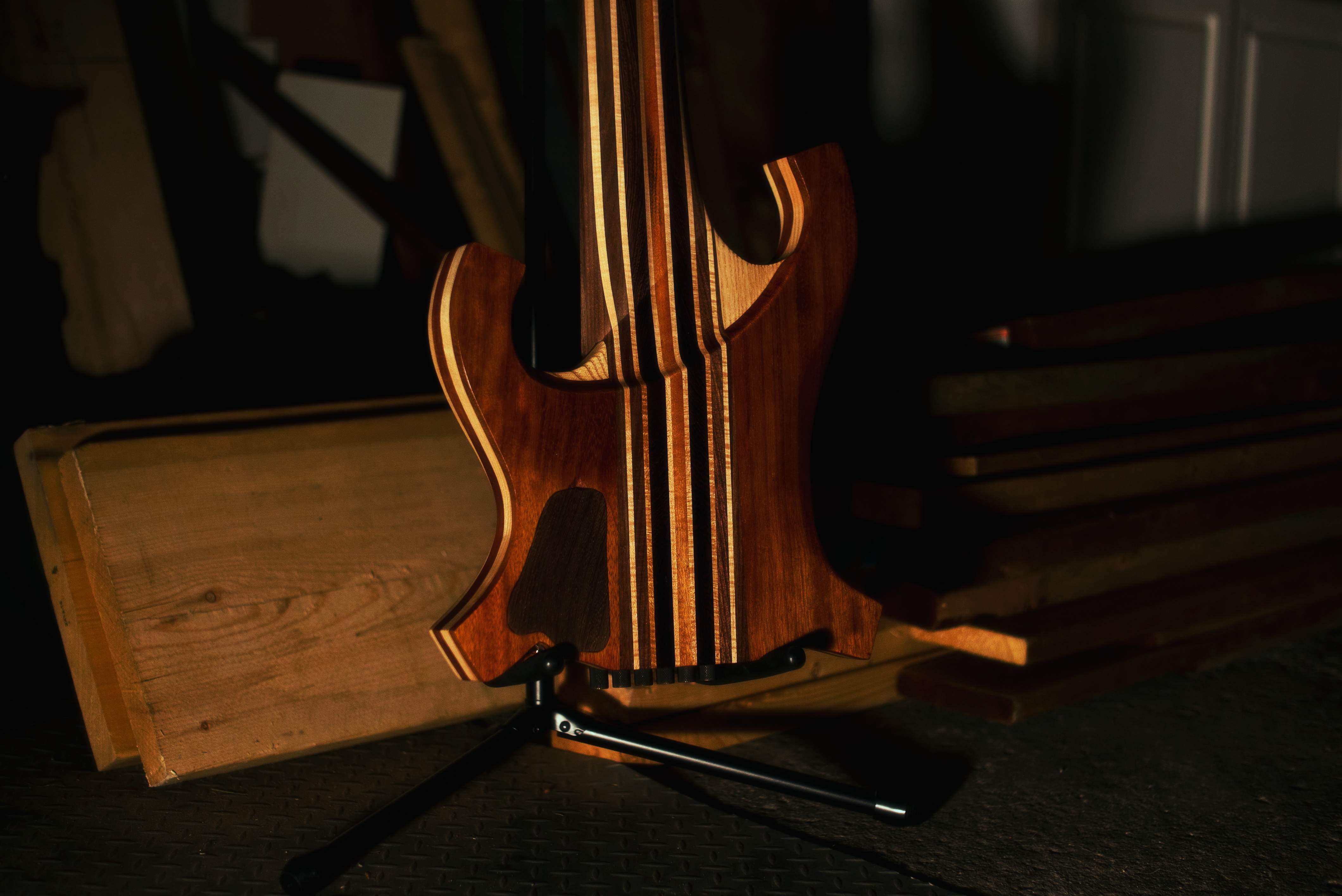 BASS BACK.jpg