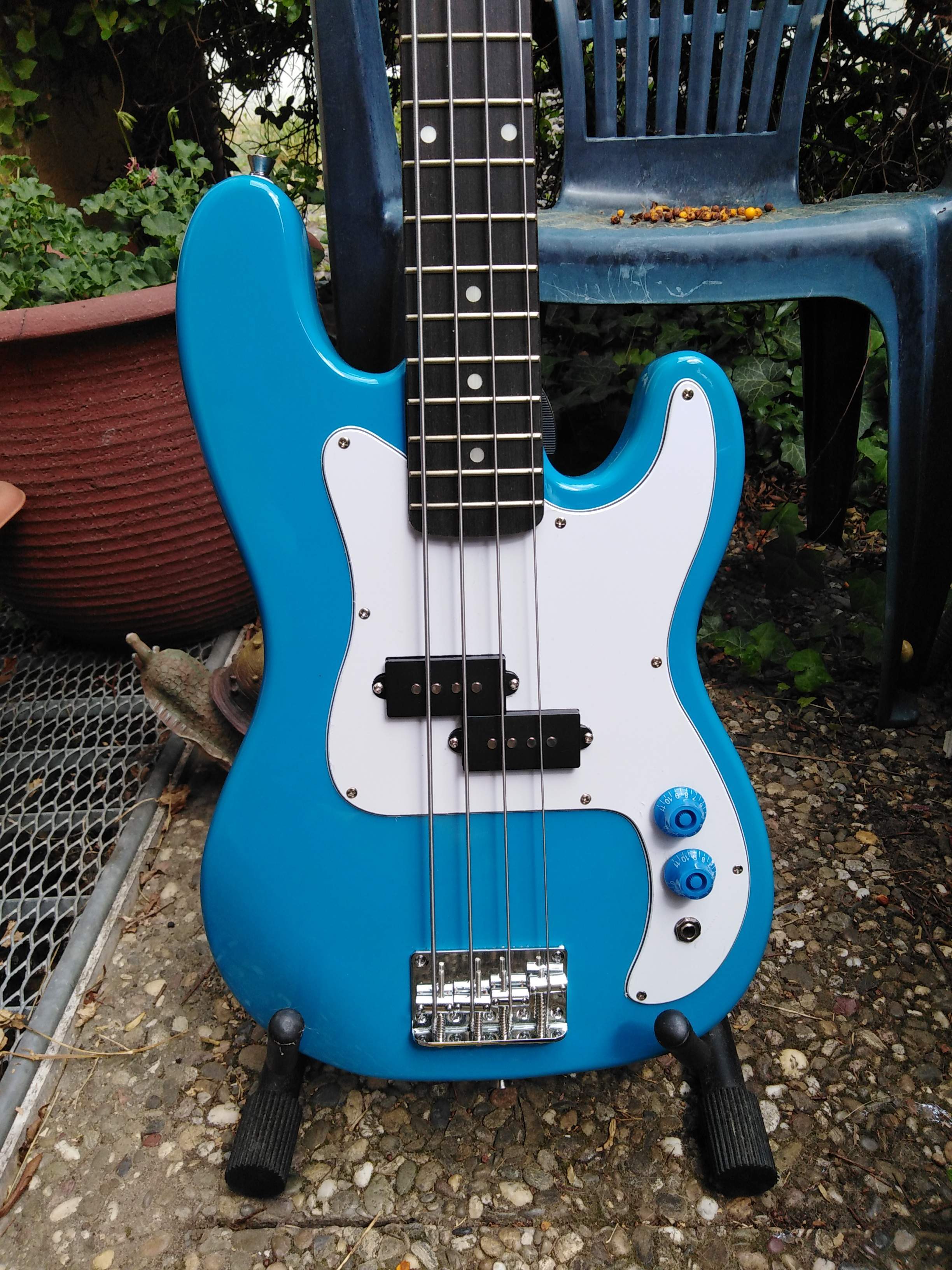 bass blue belle blue knobs 1.jpg