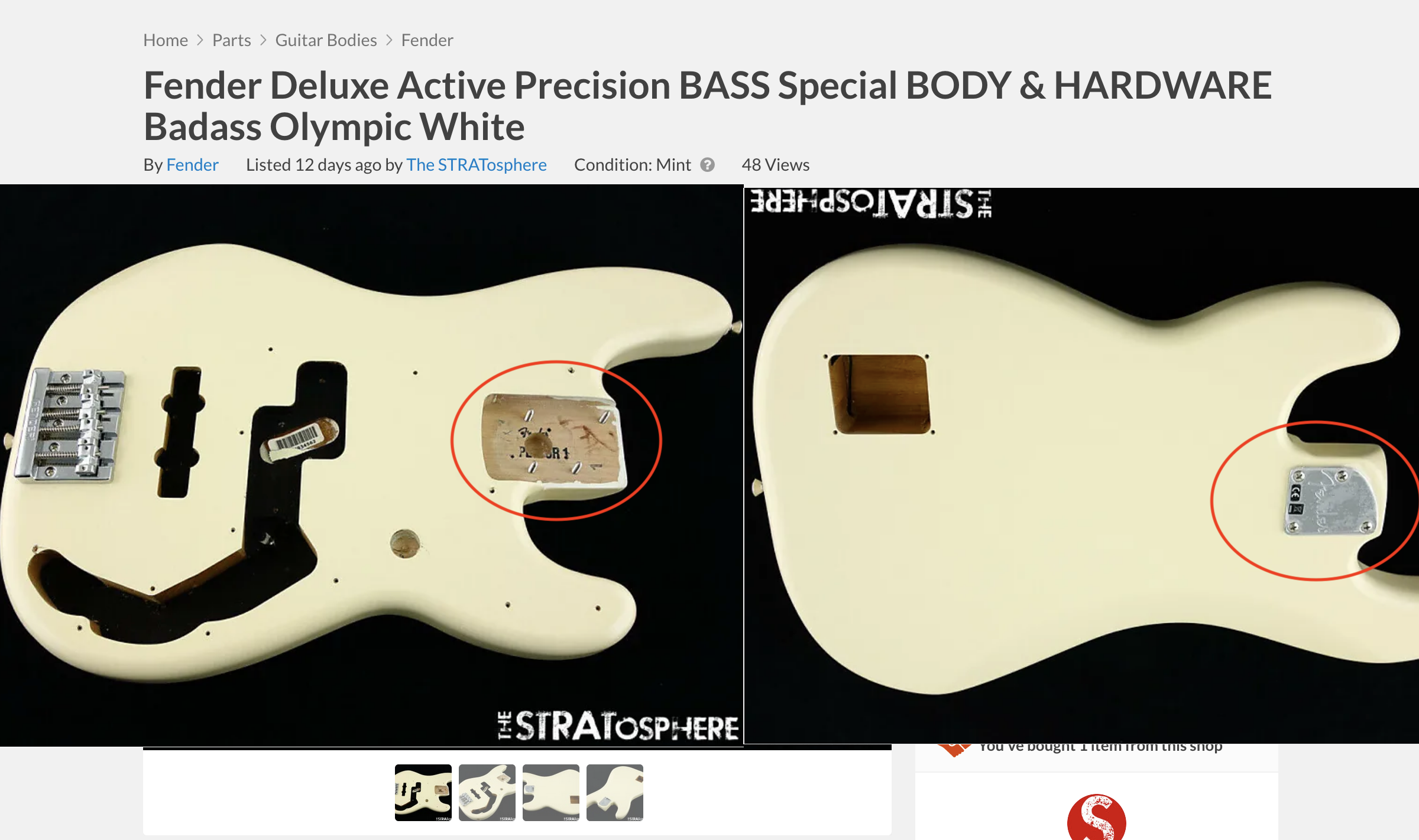 bass body.png