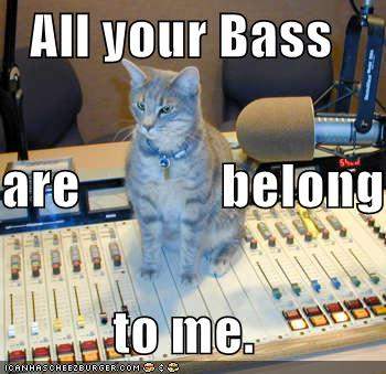 bass cat.jpg
