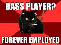 Bass cat.jpg