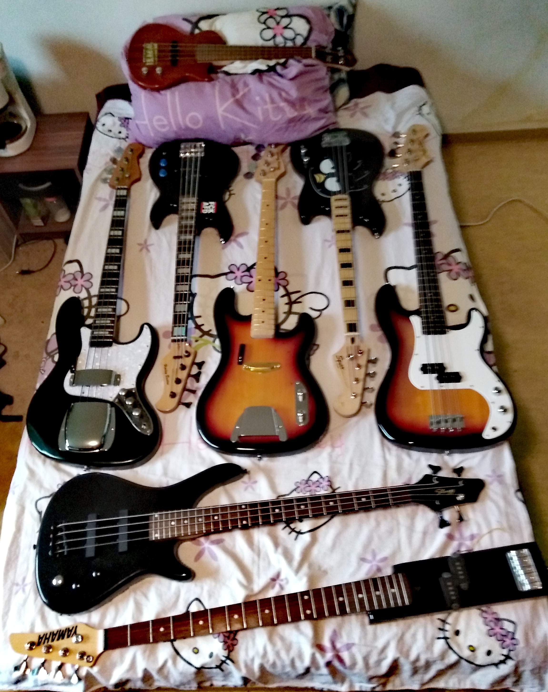 bass coll 2.jpg