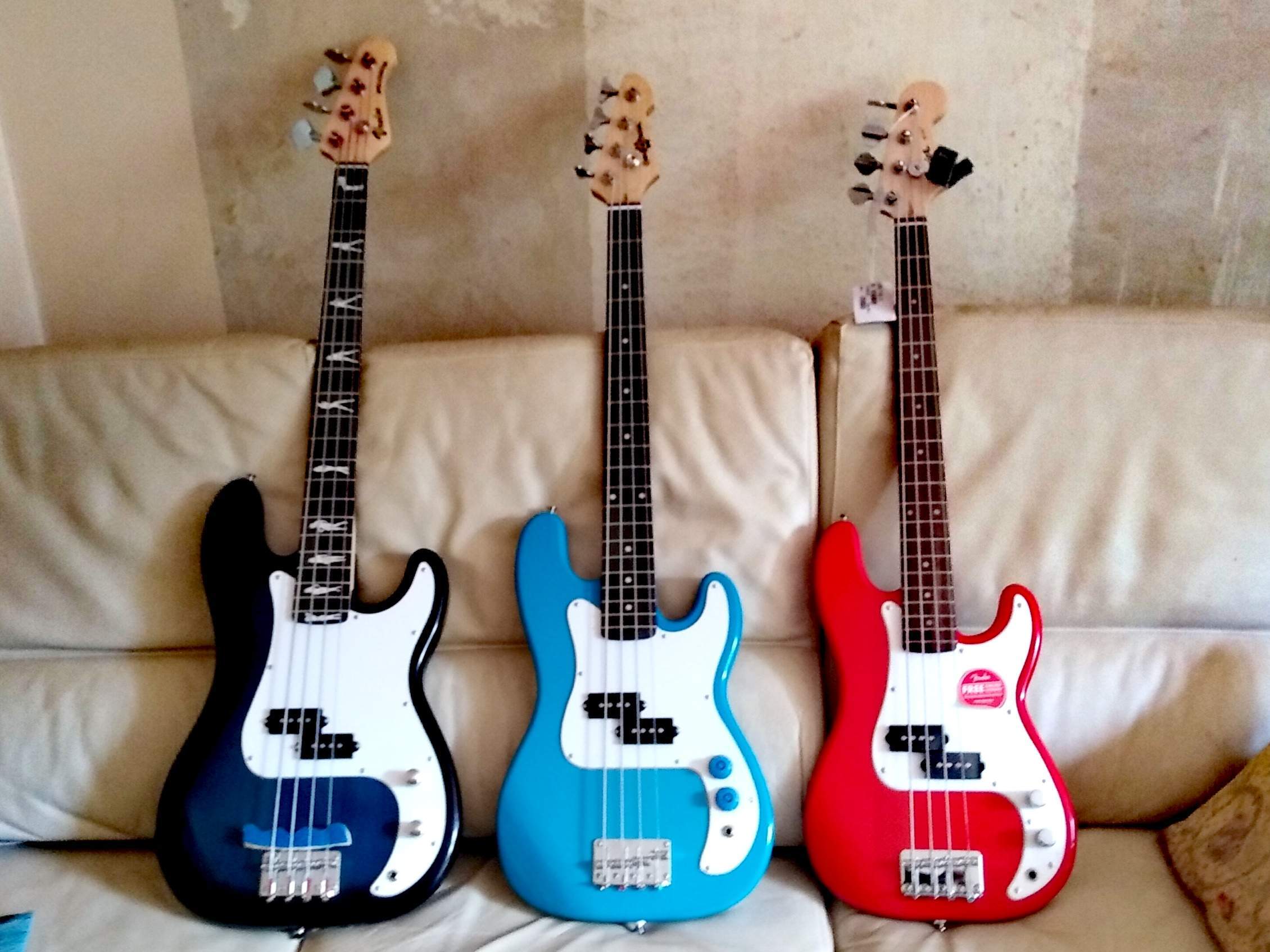 bass coll couch.jpg