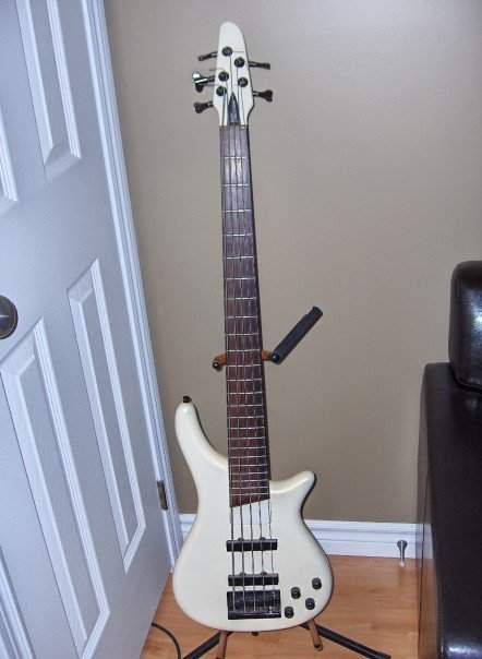 Bass Collection.jpg