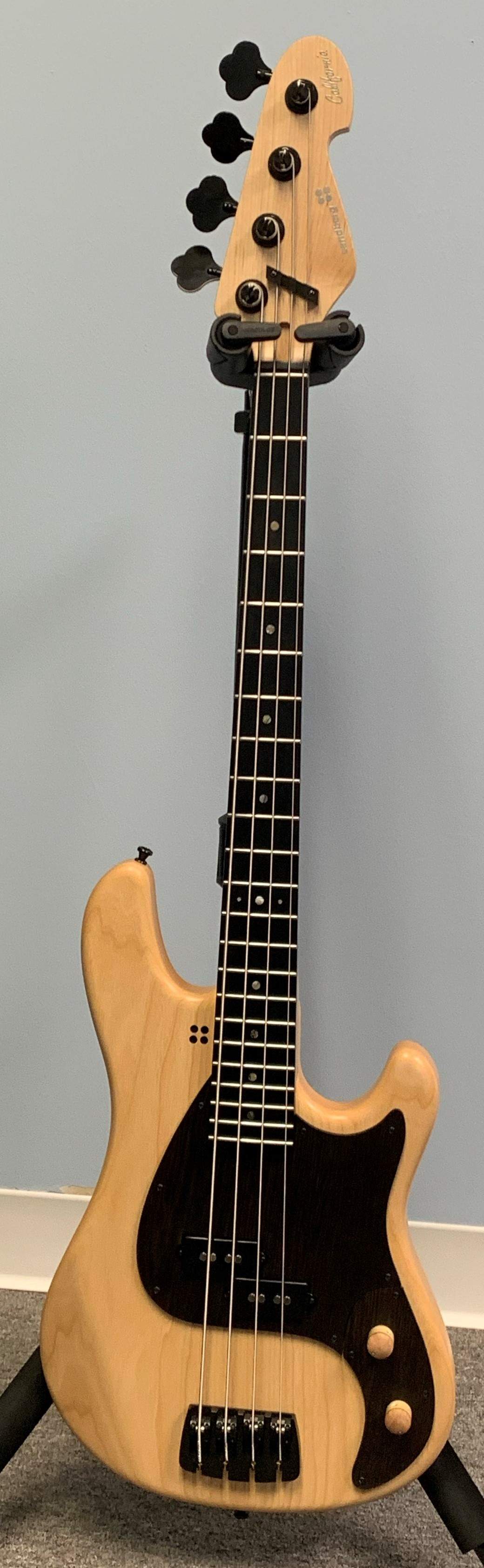 Bass cropped 2.jpg