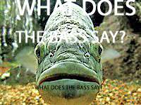 Bass fish (3).jpg