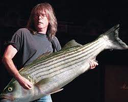 bass fish.jpg