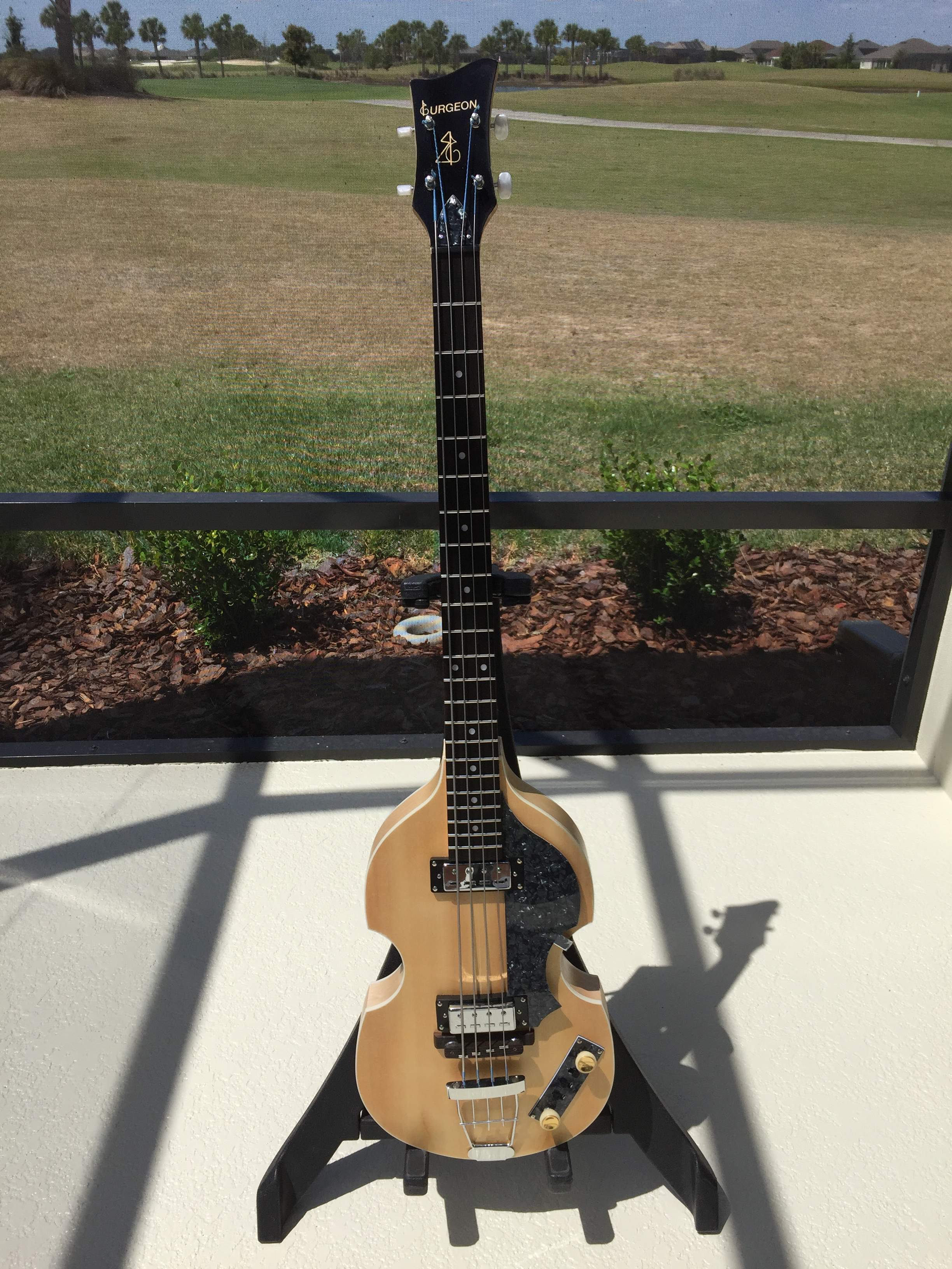Bass front view.jpeg