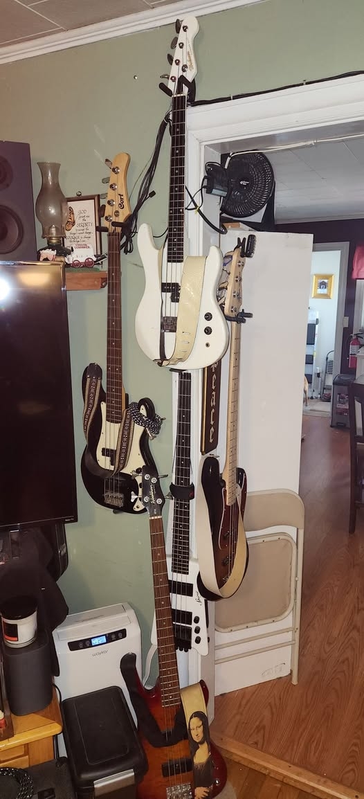 Bass Guitars.jpg