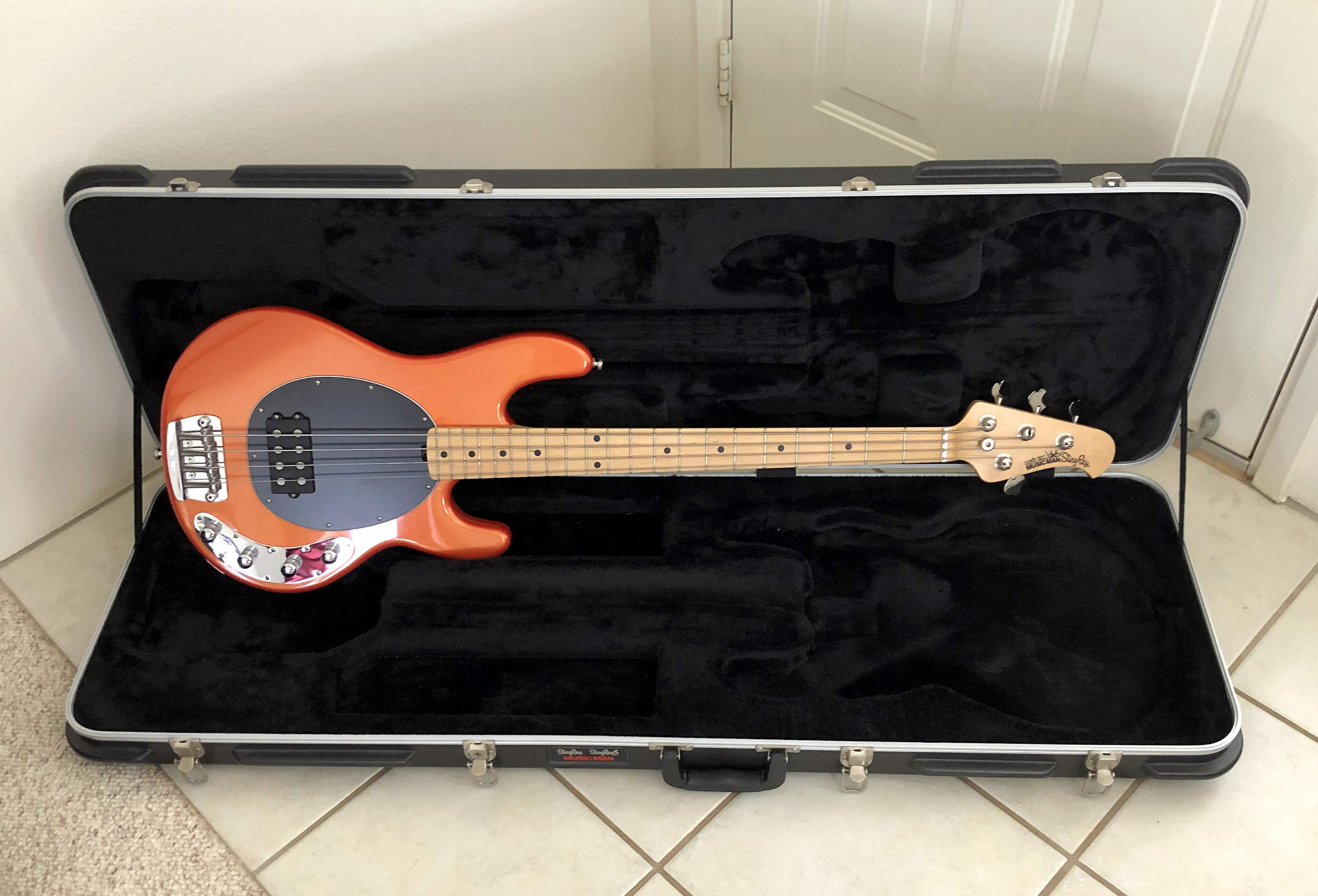 bass in case 2.JPG