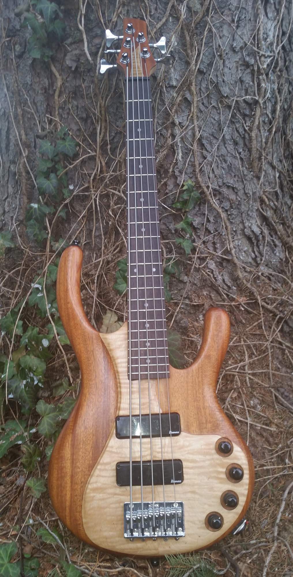 bass.jpeg