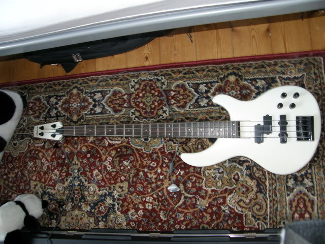 bass.jpg