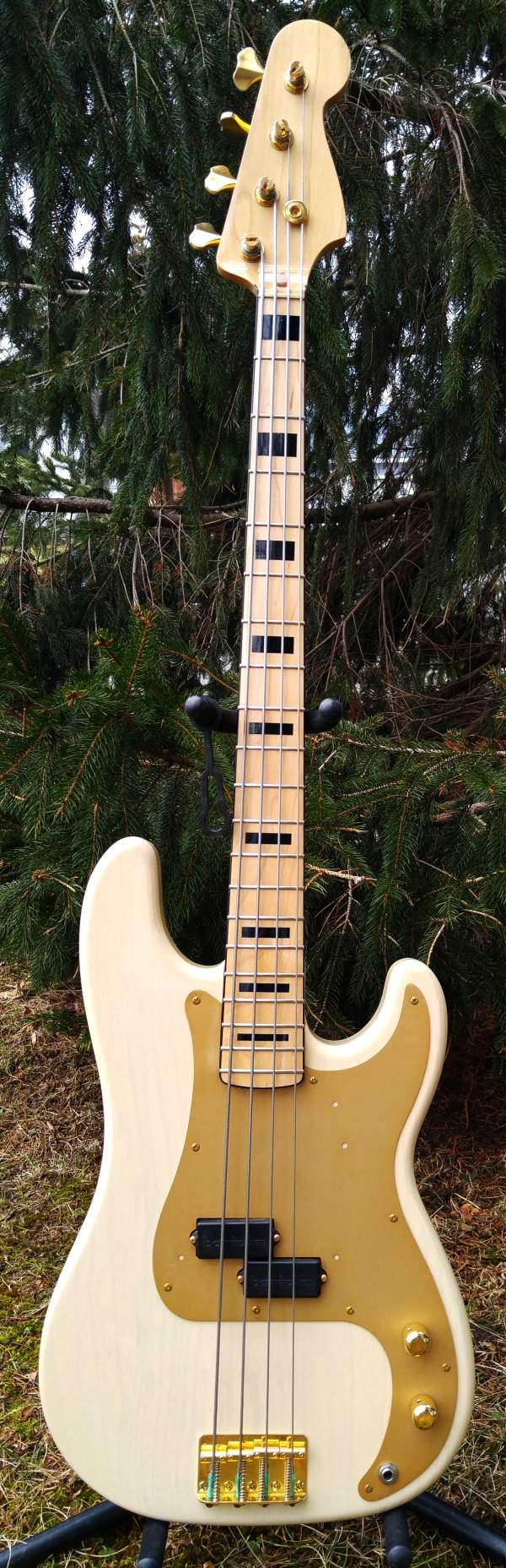 Bass.jpg