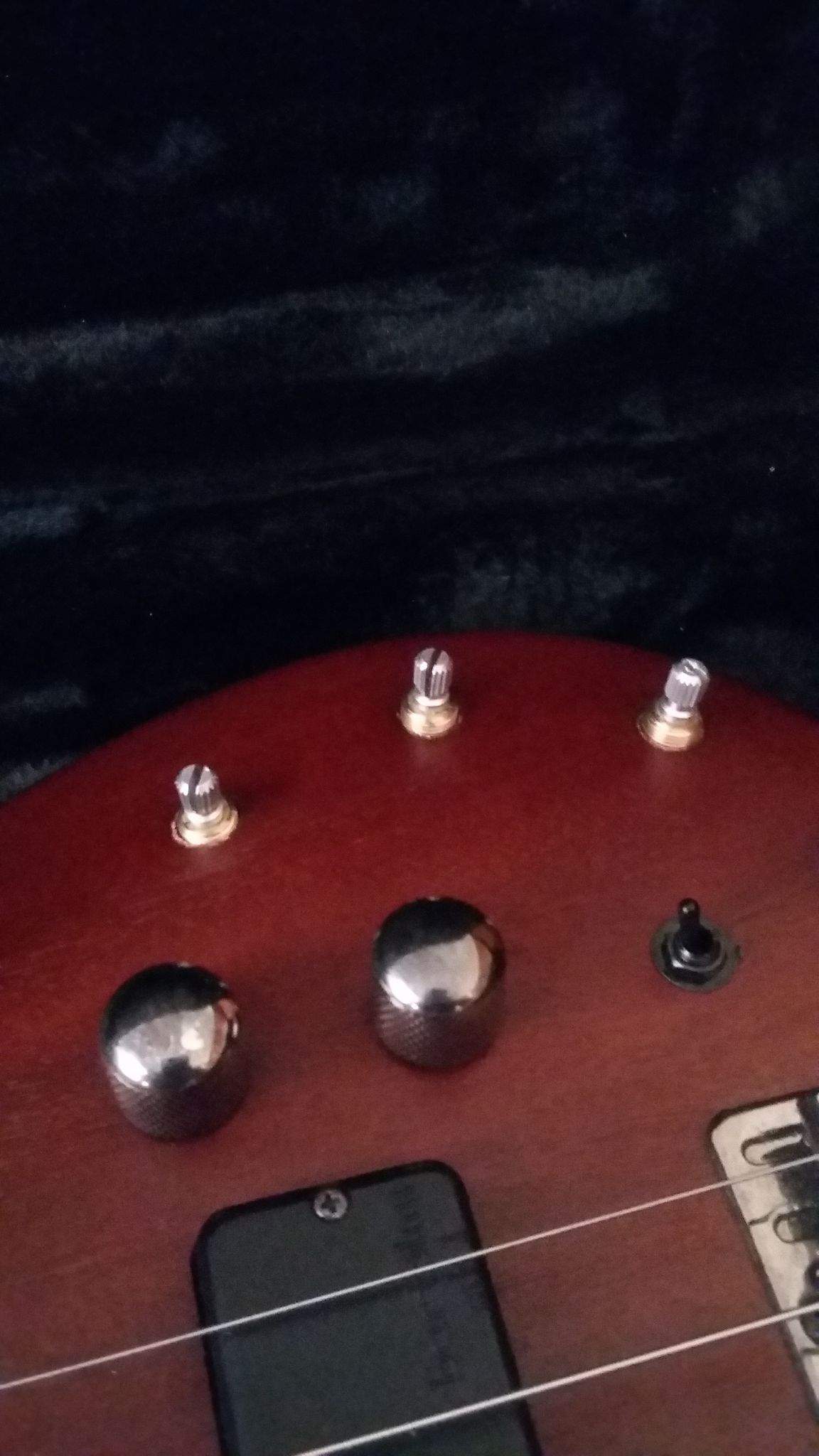 bass-.jpg