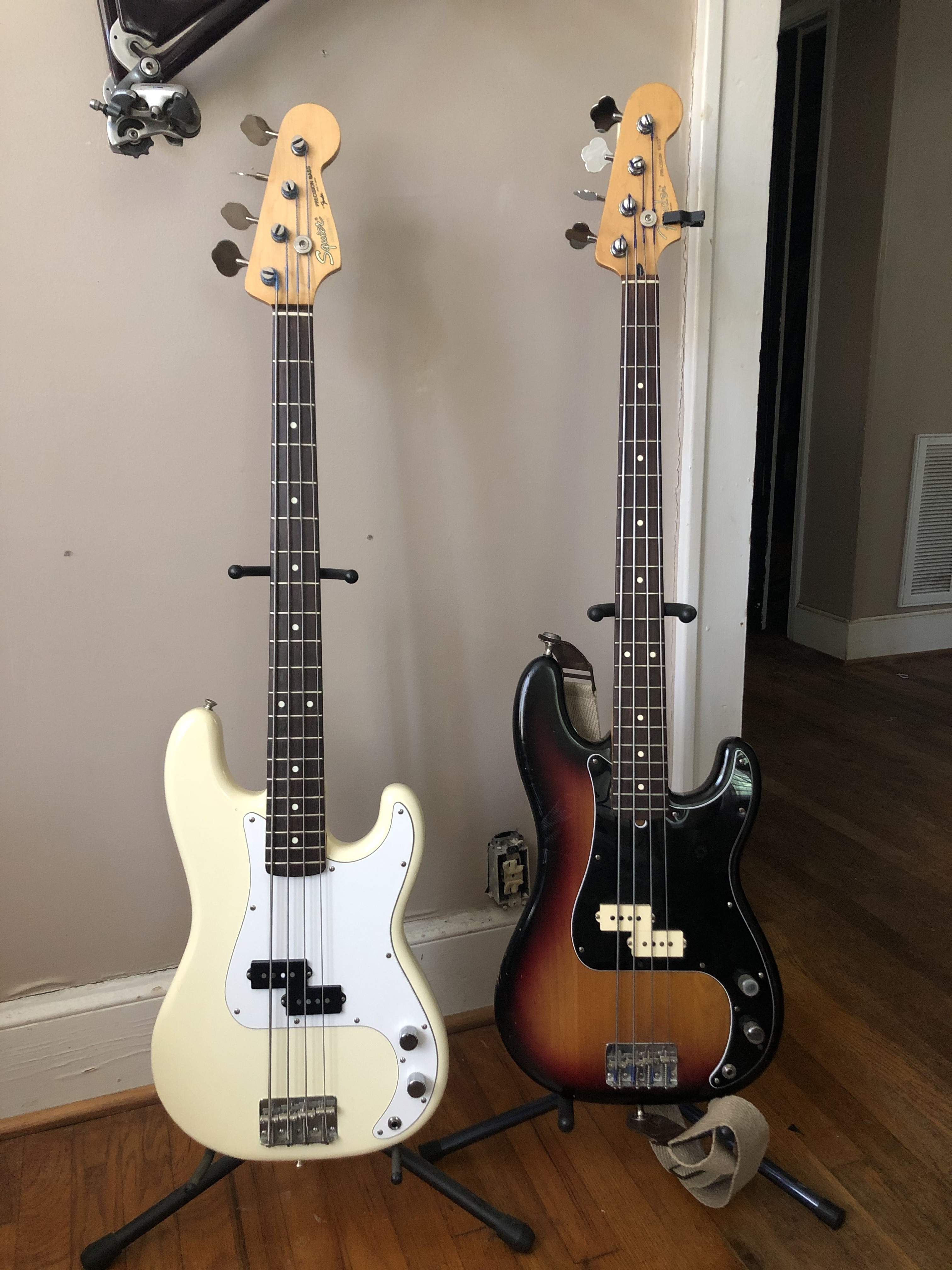 bass.jpg