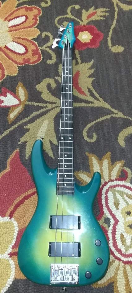 Bass.jpg