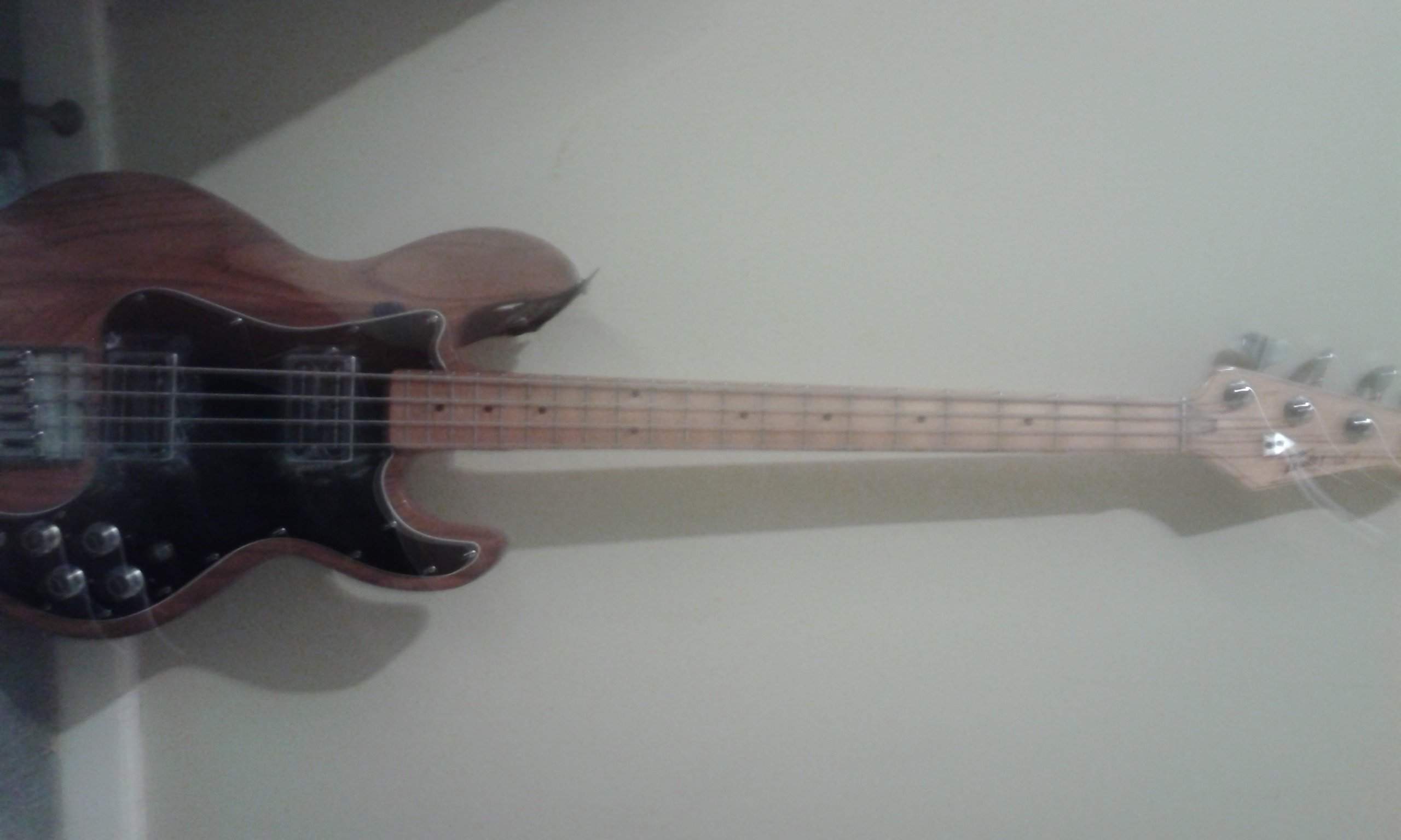 bass.JPG