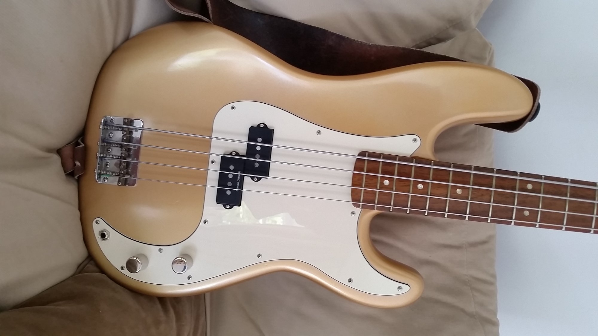 bass.jpg