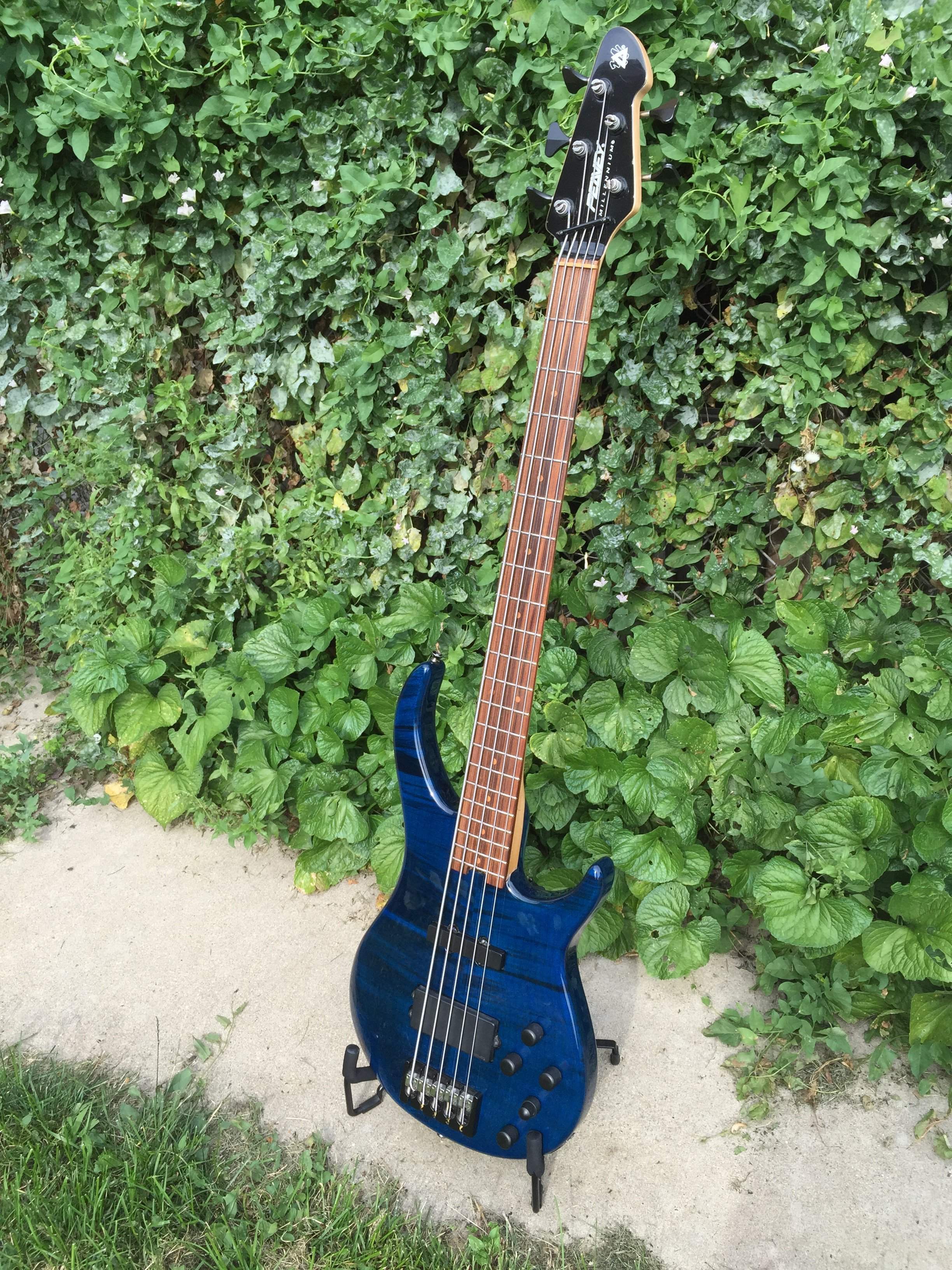 bass.JPG