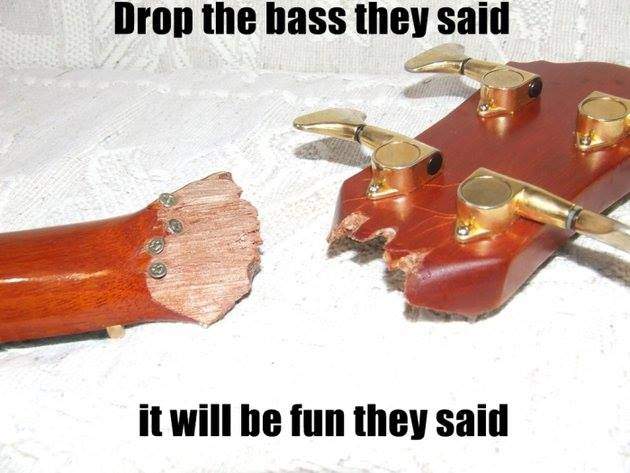 bass-meme-21.jpg