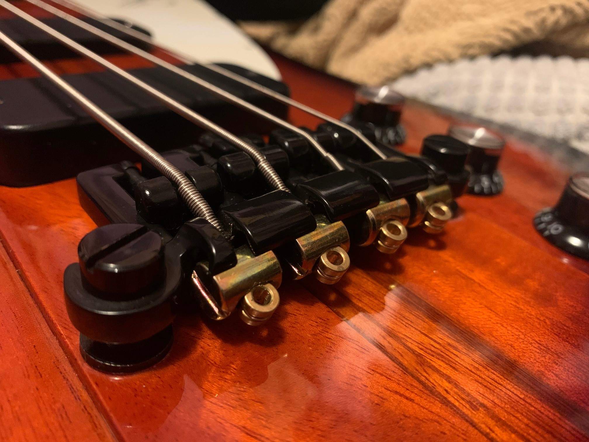bass nuts.jpg