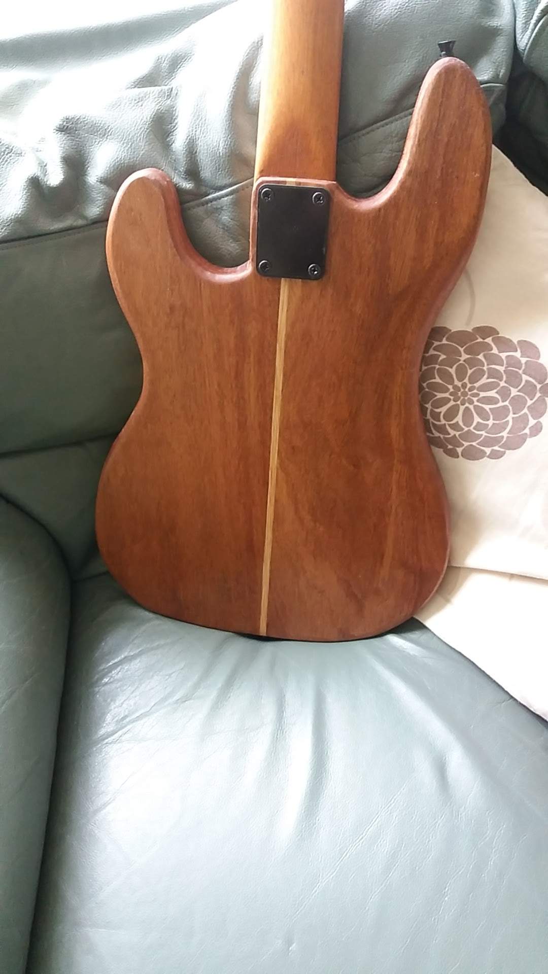 Bass pic 2.jpg