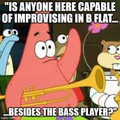 bass player patrick.jpg