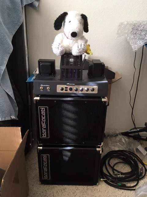 Bass rig.JPG