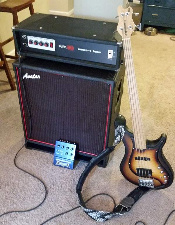 bass rig.jpg