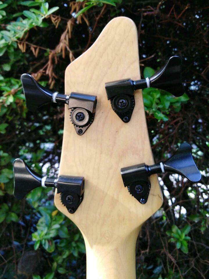 bass stagg 2.jpg