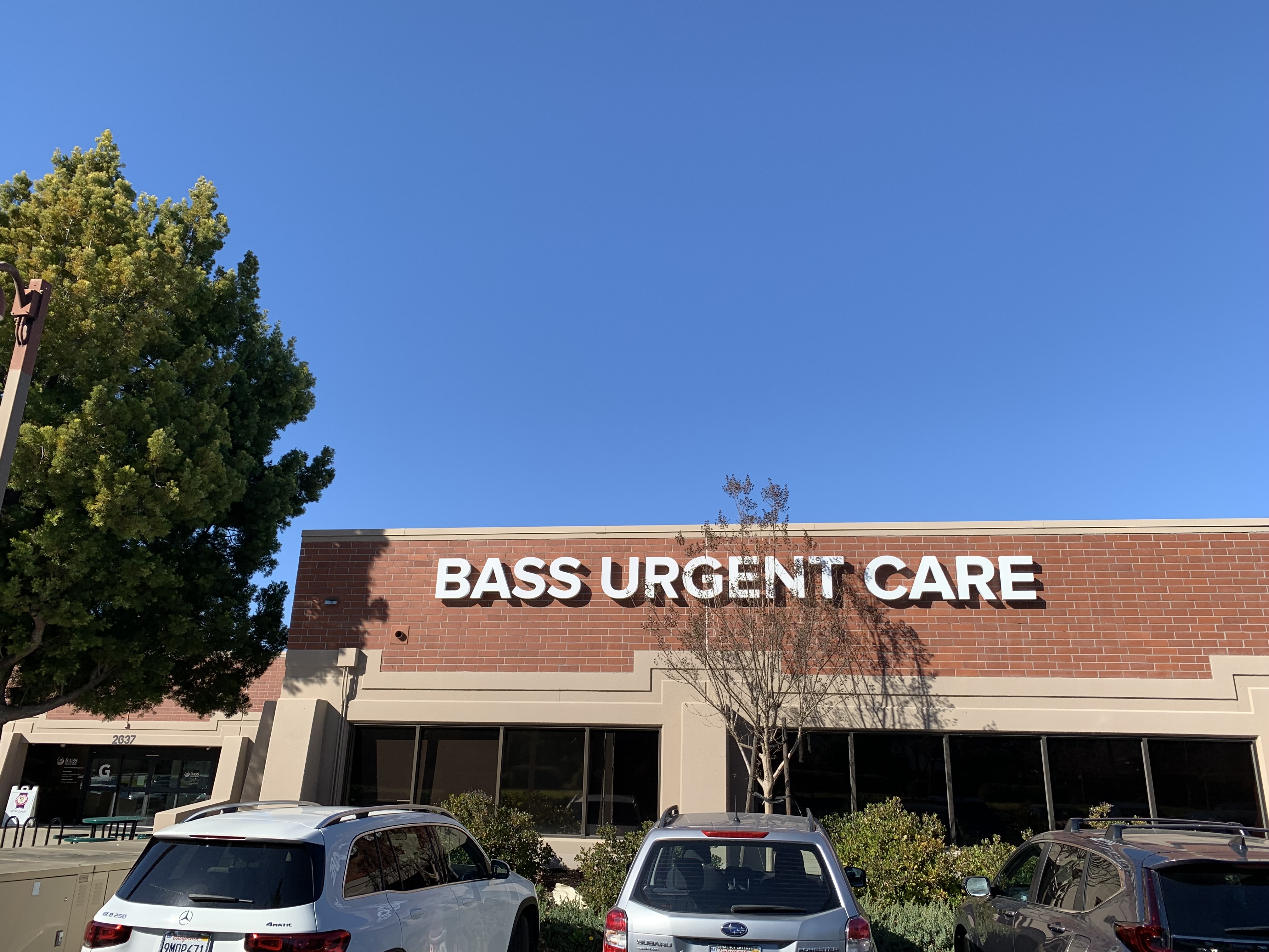 BASS U.JPG