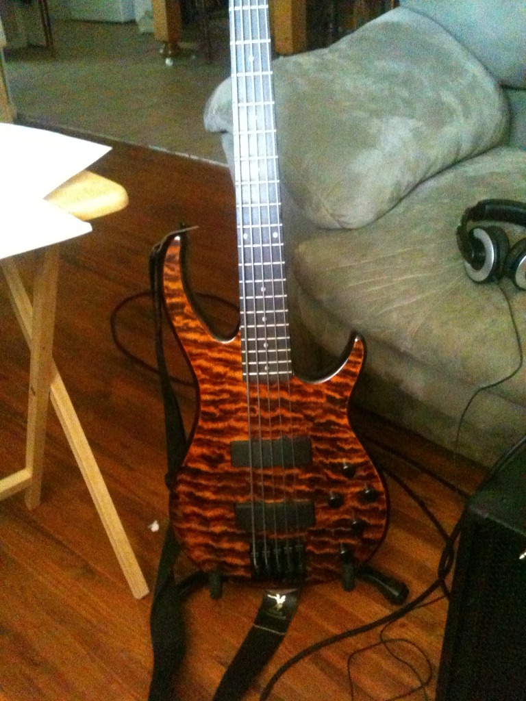 Bass001.jpg