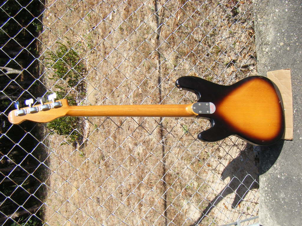 Bass0010.jpg