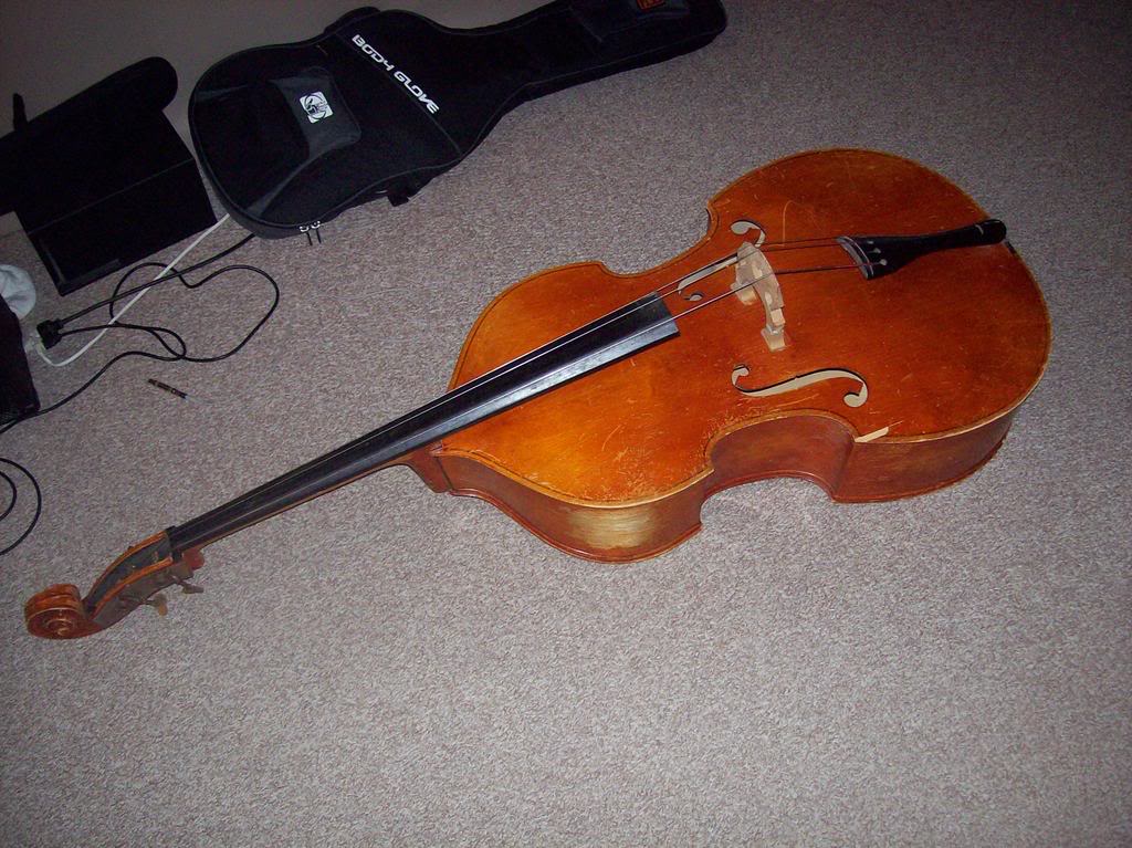 Bass003.jpg