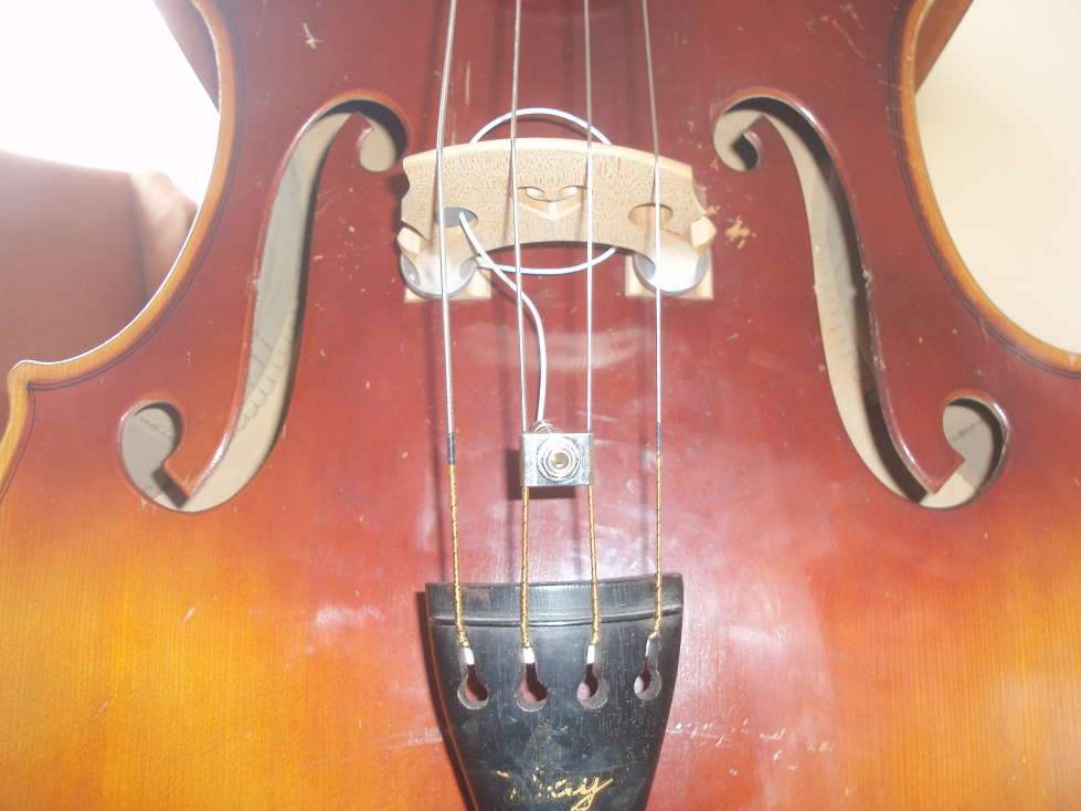 Bass003.jpg