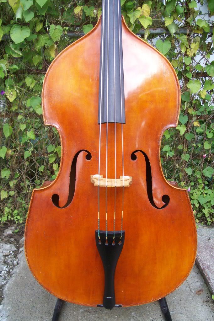 bass005.jpg