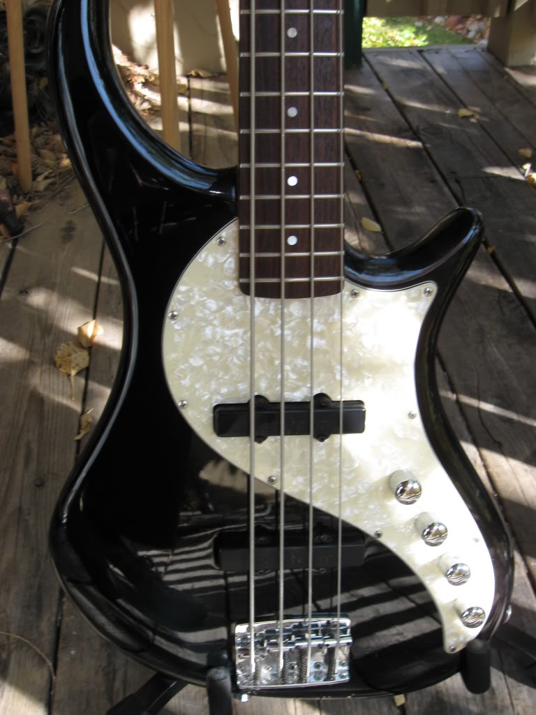 bass005.jpg