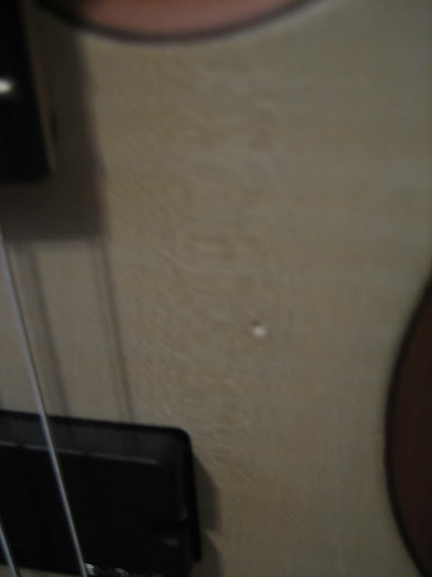 bass008.jpg