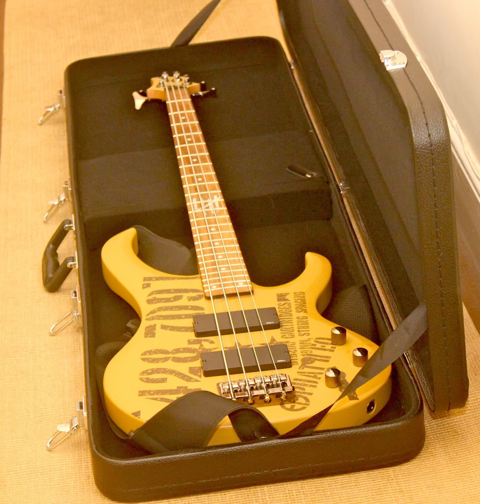 Bass01.jpg