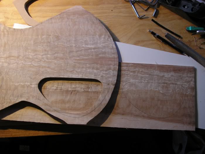 Bass010-3.jpg