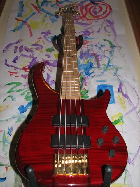 Bass011.jpg
