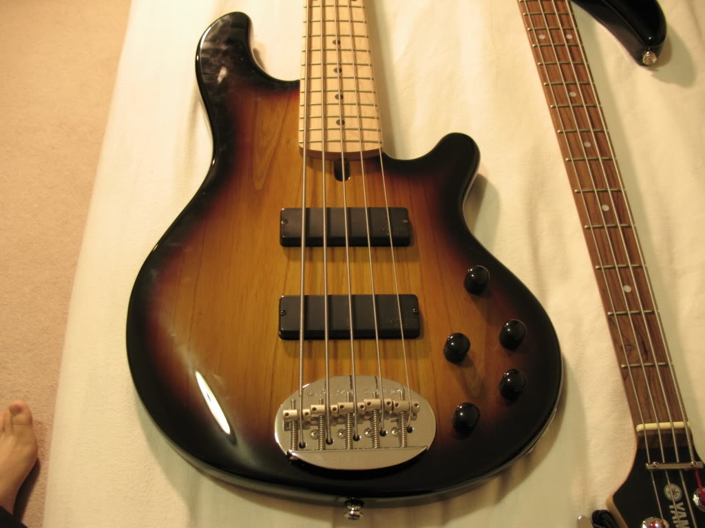 Bass013.jpg