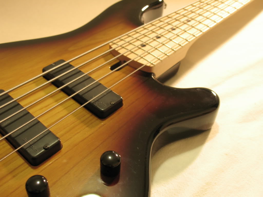 Bass028.jpg