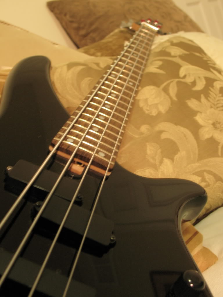 Bass038.jpg