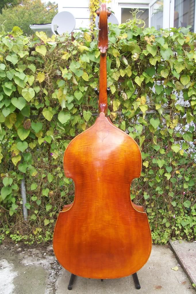bass040.jpg