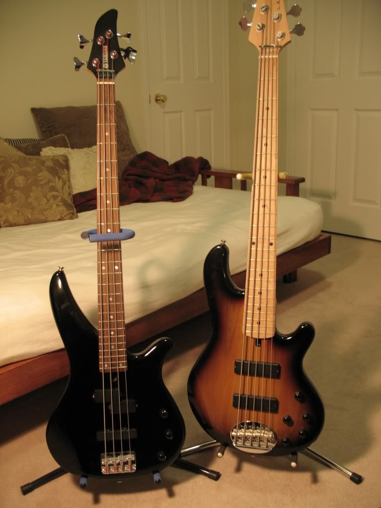 Bass051.jpg
