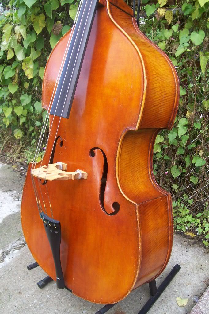 bass070.jpg